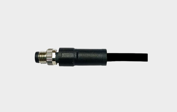 LEI Indias (6) LEI Indias (6)